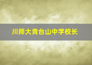 川师大青台山中学校长