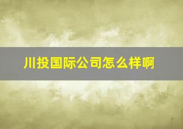 川投国际公司怎么样啊