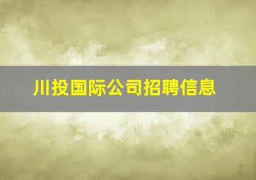 川投国际公司招聘信息