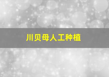 川贝母人工种植