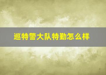 巡特警大队特勤怎么样