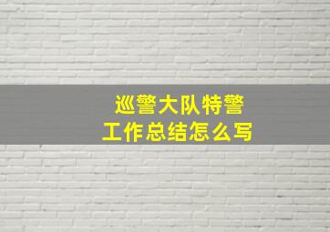 巡警大队特警工作总结怎么写