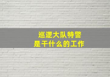 巡逻大队特警是干什么的工作