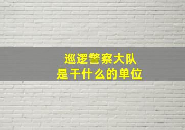 巡逻警察大队是干什么的单位