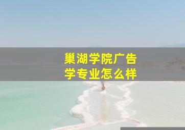 巢湖学院广告学专业怎么样