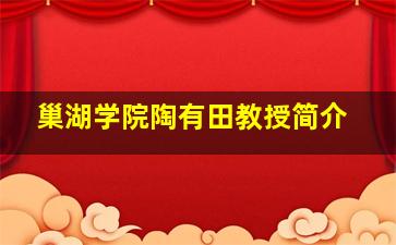 巢湖学院陶有田教授简介