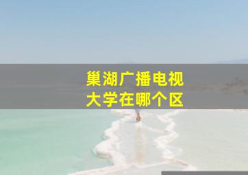 巢湖广播电视大学在哪个区