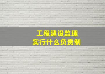 工程建设监理实行什么负责制