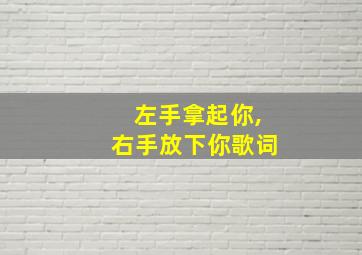 左手拿起你,右手放下你歌词