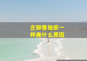 左脚像抽筋一样痛什么原因