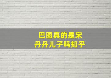 巴图真的是宋丹丹儿子吗知乎