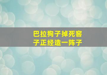 巴拉狗子掉死窖子正经造一阵子