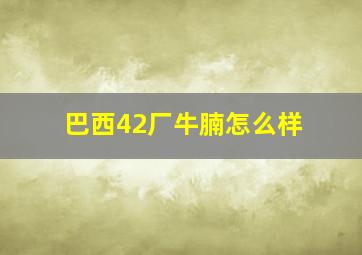 巴西42厂牛腩怎么样