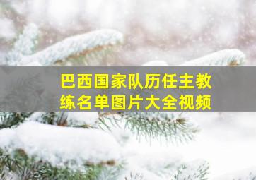 巴西国家队历任主教练名单图片大全视频