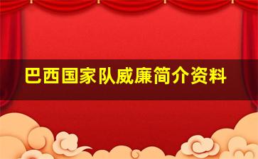 巴西国家队威廉简介资料