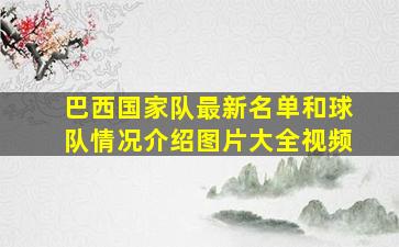 巴西国家队最新名单和球队情况介绍图片大全视频