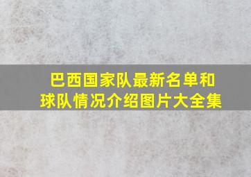 巴西国家队最新名单和球队情况介绍图片大全集