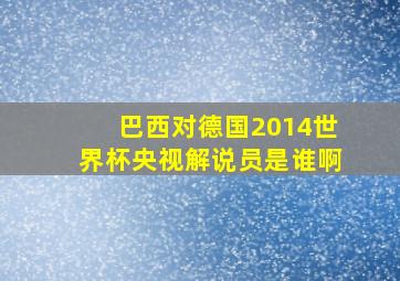 巴西对德国2014世界杯央视解说员是谁啊