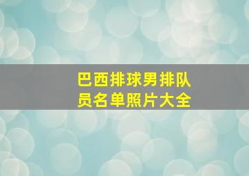 巴西排球男排队员名单照片大全