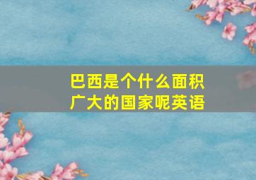 巴西是个什么面积广大的国家呢英语