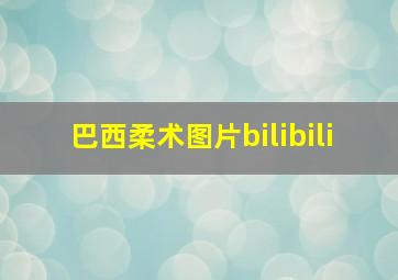 巴西柔术图片bilibili