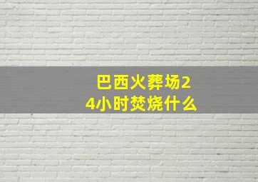 巴西火葬场24小时焚烧什么