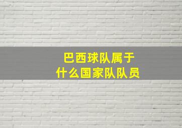 巴西球队属于什么国家队队员