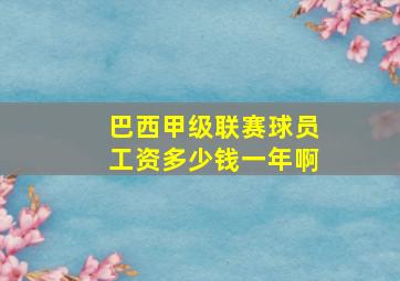 巴西甲级联赛球员工资多少钱一年啊