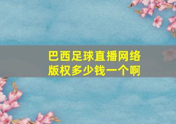 巴西足球直播网络版权多少钱一个啊