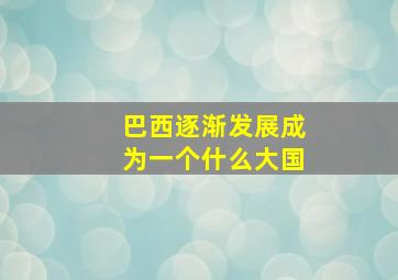 巴西逐渐发展成为一个什么大国