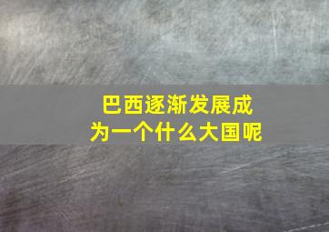 巴西逐渐发展成为一个什么大国呢