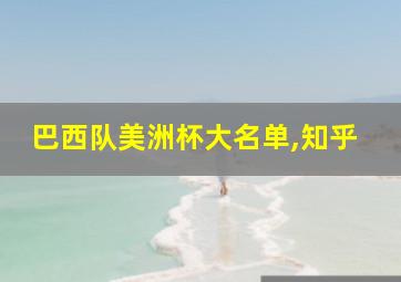 巴西队美洲杯大名单,知乎