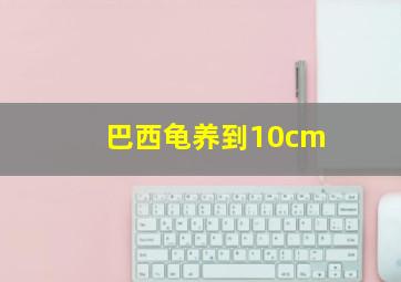 巴西龟养到10cm