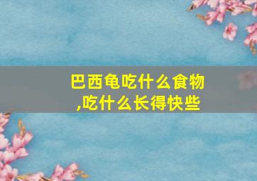 巴西龟吃什么食物,吃什么长得快些