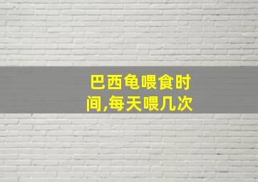 巴西龟喂食时间,每天喂几次