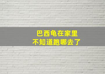 巴西龟在家里不知道跑哪去了