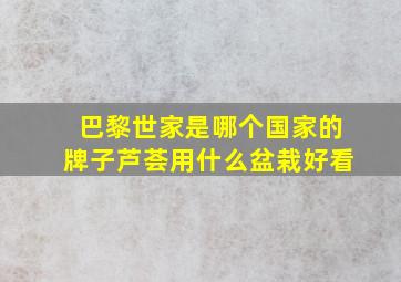 巴黎世家是哪个国家的牌子芦荟用什么盆栽好看