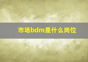 市场bdm是什么岗位