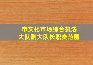 市文化市场综合执法大队副大队长职责范围