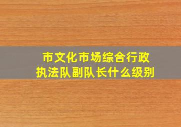 市文化市场综合行政执法队副队长什么级别