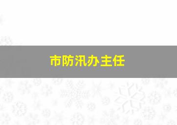 市防汛办主任