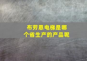 布劳恩电梯是哪个省生产的产品呢