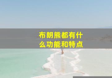 布朗熊都有什么功能和特点