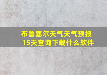 布鲁塞尔天气天气预报15天查询下载什么软件