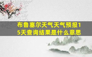 布鲁塞尔天气天气预报15天查询结果是什么意思