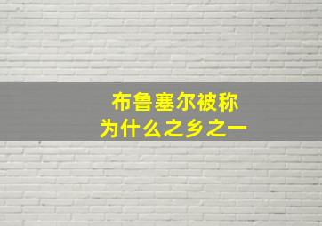 布鲁塞尔被称为什么之乡之一