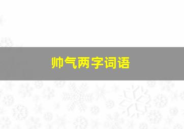 帅气两字词语