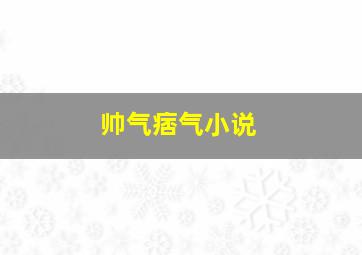 帅气痞气小说