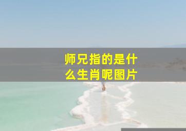 师兄指的是什么生肖呢图片