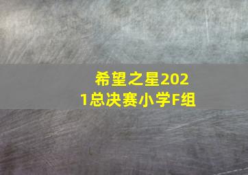 希望之星2021总决赛小学F组